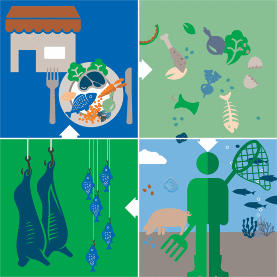 WUR Circularity in Livestock & Fish supply Chains